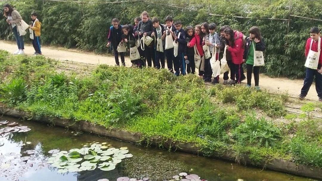 Orman Kaşifleri Keşfe Devam Ediyor