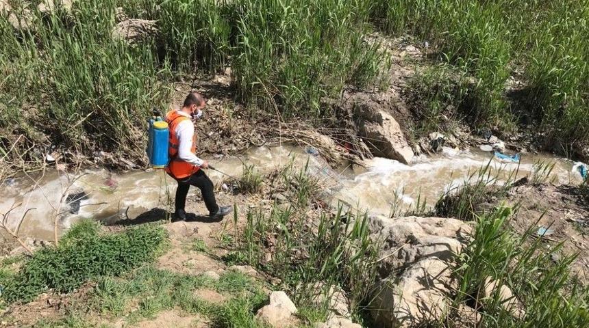 Şırnak’ta Larvalara Karşı İlaçlama Çalışması Başlatıldı