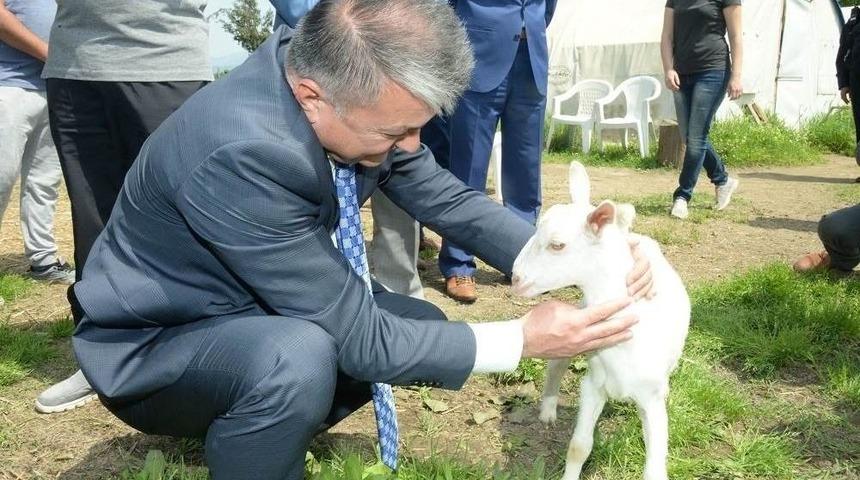&Ouml;rnek Alınacak Bir Başarı Hik&acirc;yesi