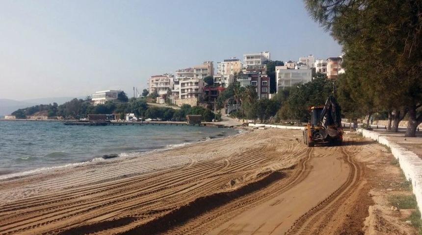 G&uuml;ll&uuml;k Yaza Hazırlanıyor