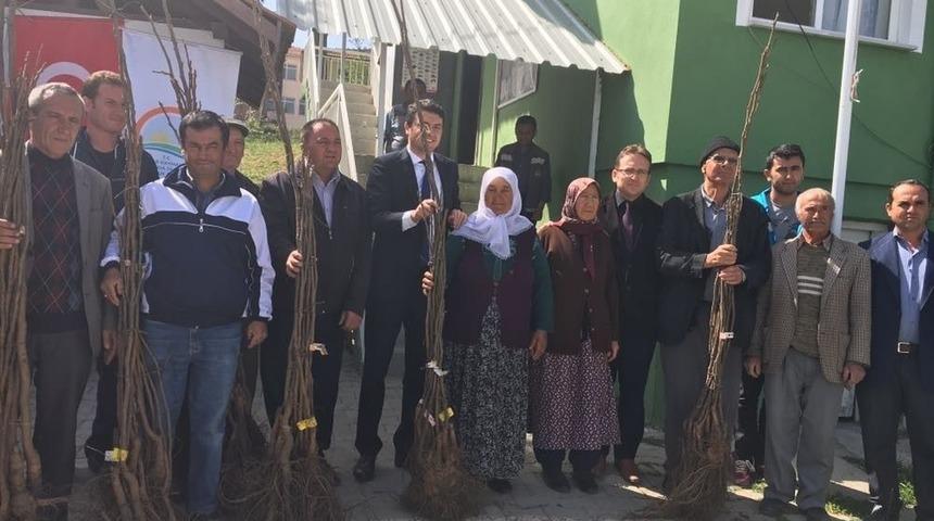 Pazarlar’da 7 Üreticiye 560 Ceviz Fidanı Dağıtıldı
