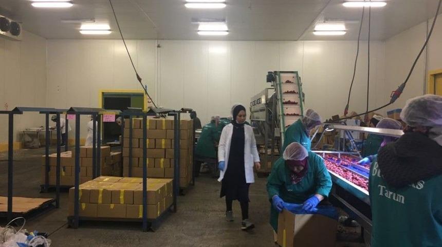 Entegre Soğuk Hava Tesisi 5 Yıl Sonra Tekrar A&ccedil;ıldı