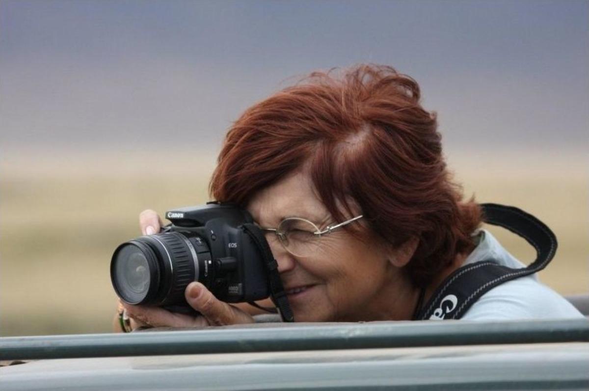 G&ouml;&ccedil; M&uuml;zesinde &Uuml;lke Fotoğrafları