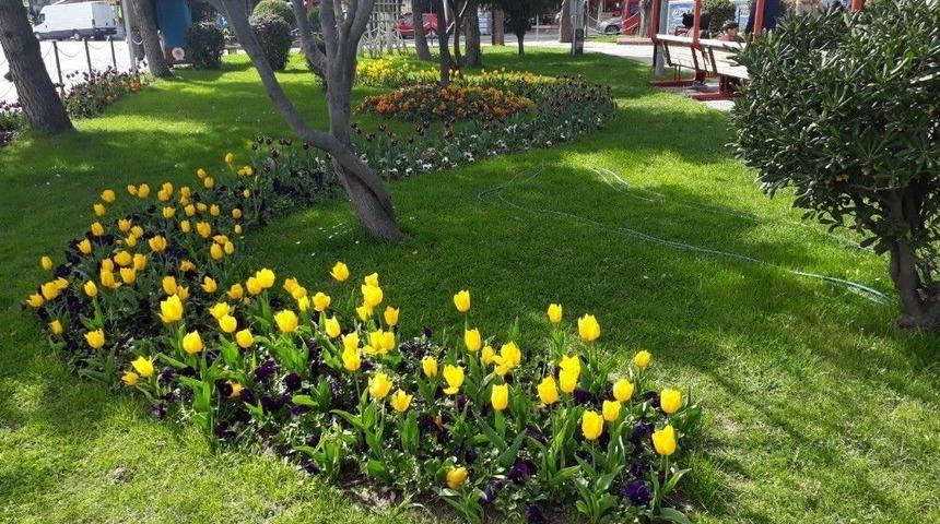 İlkadım&rsquo;da 23 Nisan &Ouml;ncesi Bahar Temizliği