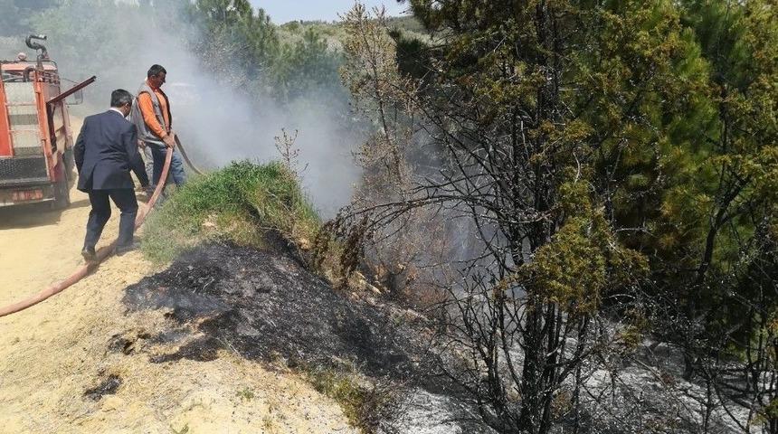 Pazarlar&rsquo;da Orman Yangını