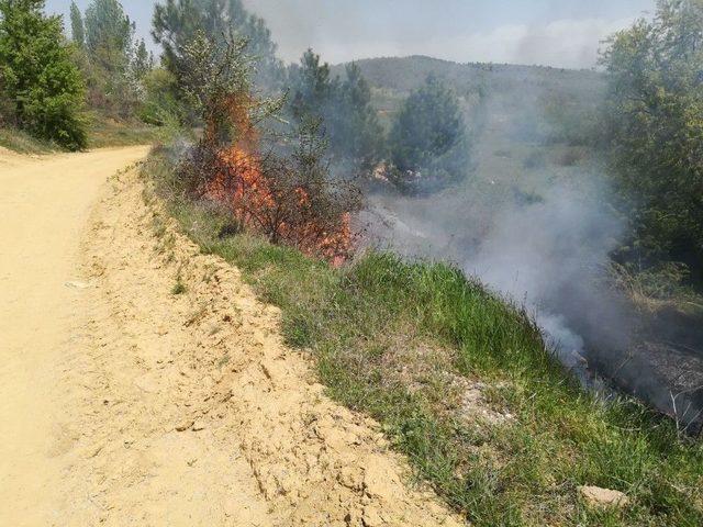 Pazarlar’da Orman Yangını