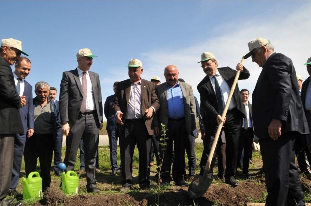 Bafra&rsquo;da "adalet Ormanı" Oluşturuldu