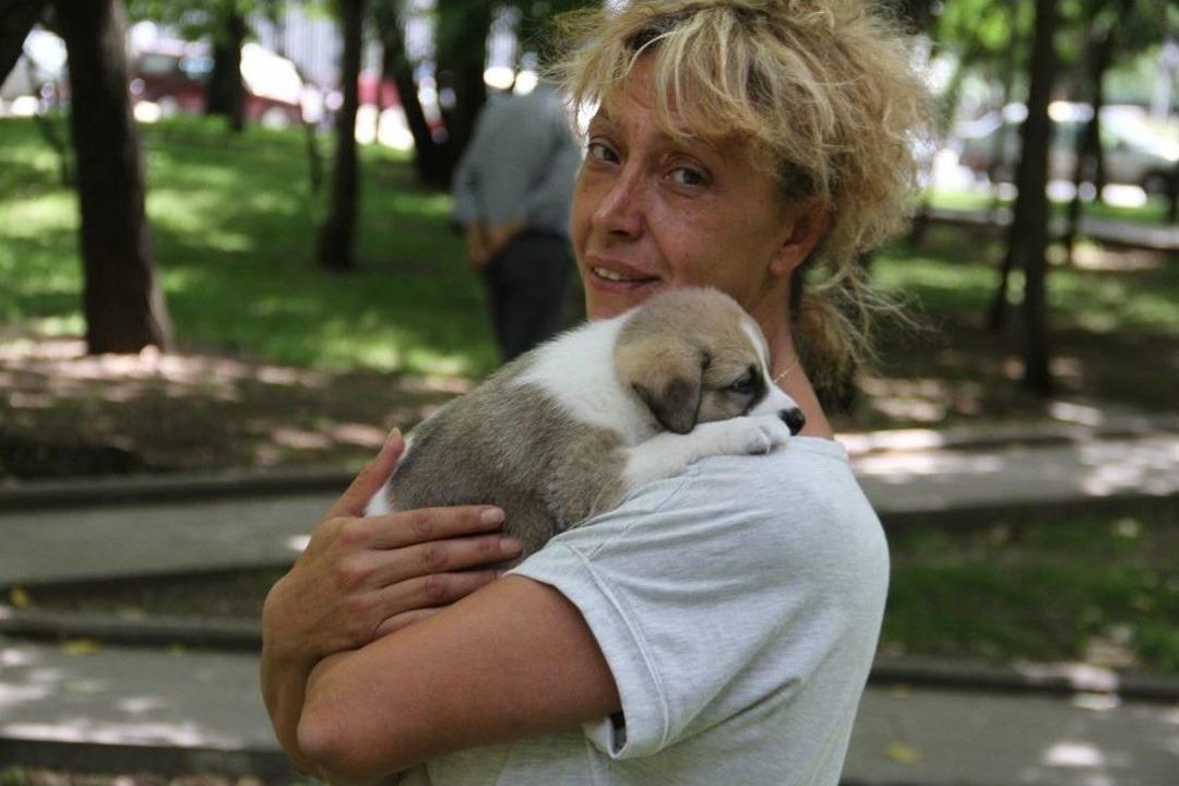 Otomobille K&ouml;peği Ezip &Ouml;ld&uuml;ren Şahıs G&ouml;zaltına Alındı