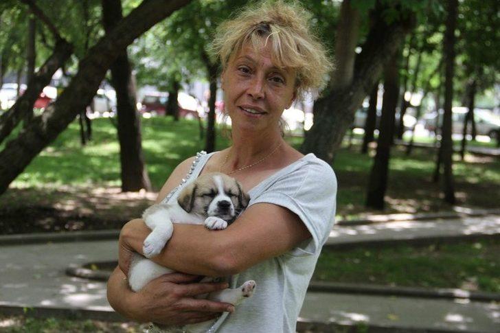 Otomobille Köpeği Ezip Öldüren Şahıs Gözaltına Alındı G1