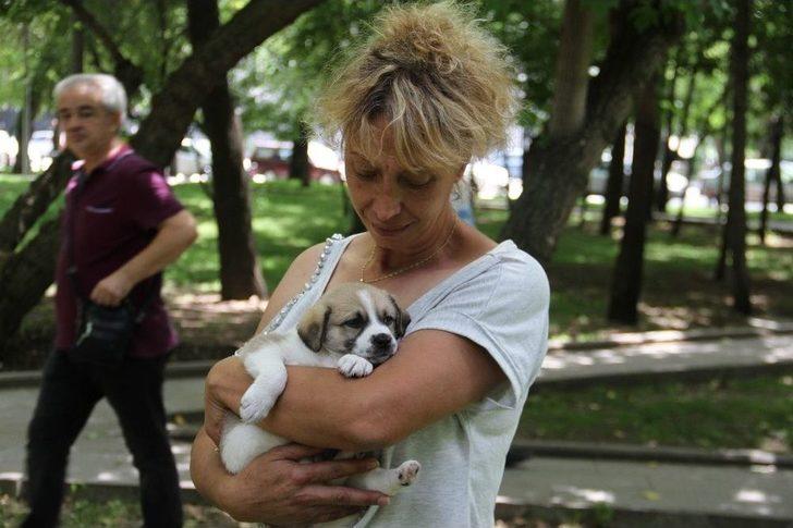 Otomobille Köpeği Ezip Öldüren Şahıs Gözaltına Alındı G2