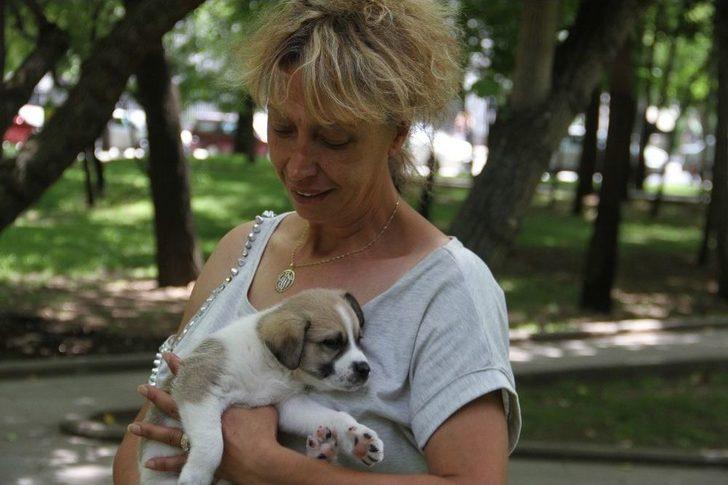 Otomobille Köpeği Ezip Öldüren Şahıs Gözaltına Alındı G3