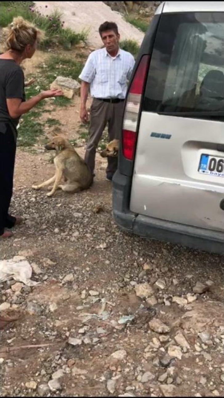 Otomobille Köpeği Ezip Öldüren Şahıs Gözaltına Alındı G4