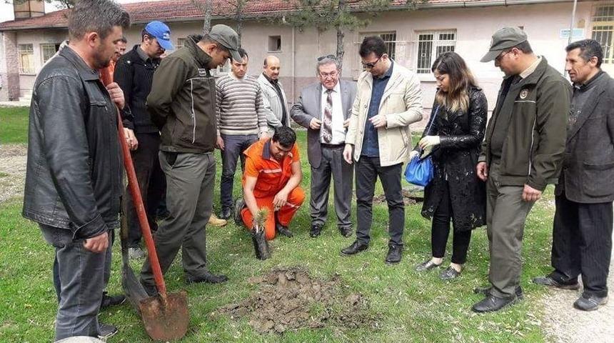 Dumlupınar’da 297 Ağaç Toprakla Buluştu