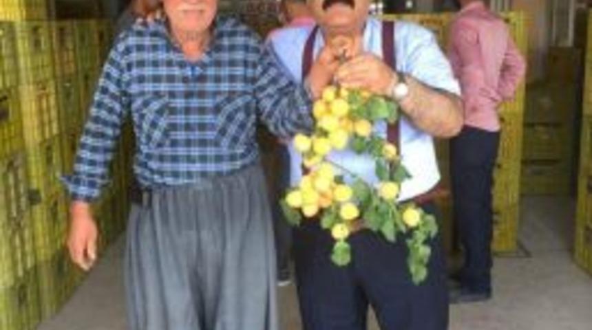 Kayısı Alımına Bayram Molası