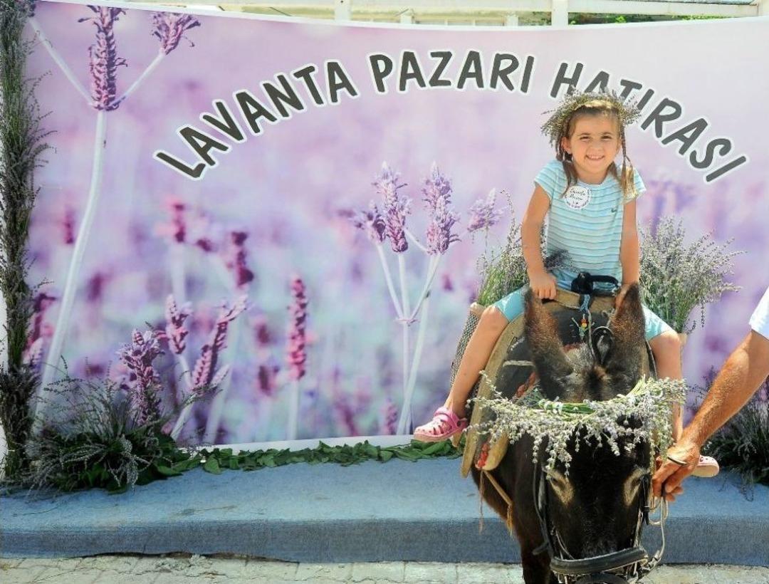 Seferihisar&rsquo;da Lavanta R&uuml;zgarı