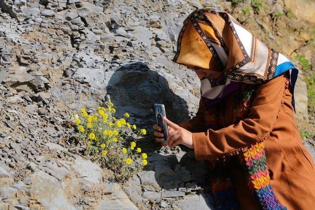 Saü İlahiyat Fakültesi Öğrencilerinden Fotoğraf Gezisi