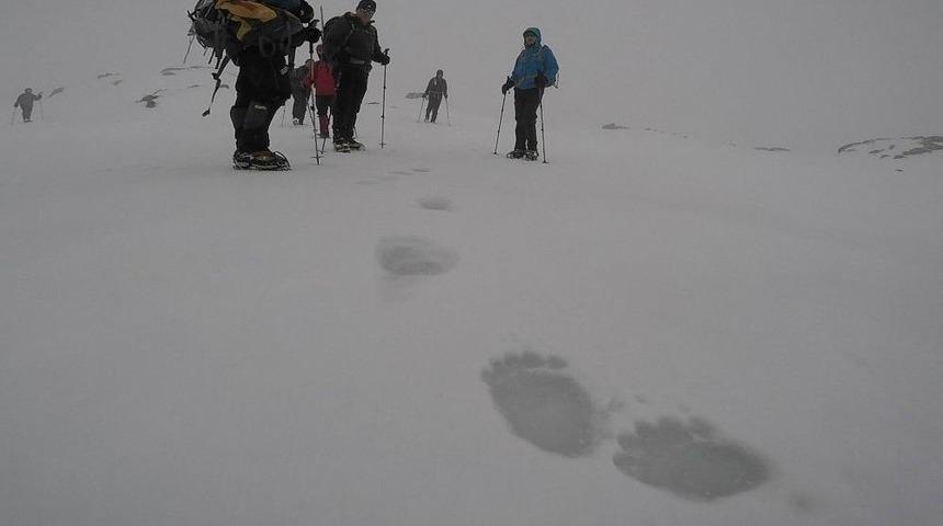 (&ouml;zel Haber) Uludağ&rsquo;da Ayıların İzinden