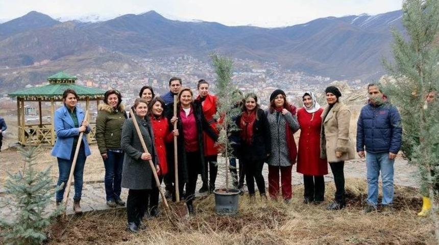 Hakkari&rsquo;deki Bereket Ormanlarına Fidan Dikildi