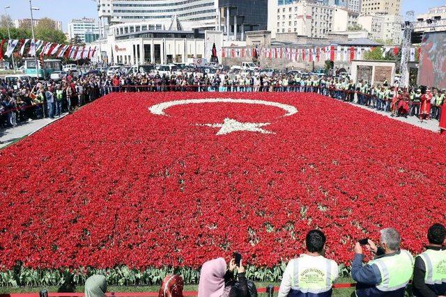 Dünyanın En Büyük Türk Bayrağı Temalı Lale Peyzajı Rekorlar Kitabı’na Girdi