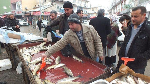 Vatandaşlar Murat Balığına Yoğun İlgi Gösterdi