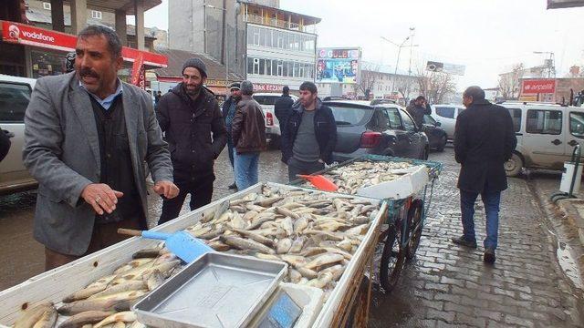 Vatandaşlar Murat Balığına Yoğun İlgi Gösterdi