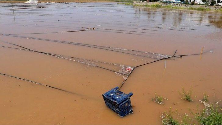 (özel) Seraları Basan Su Yüz Binlerce Liralık Zarara Neden Oldu G4