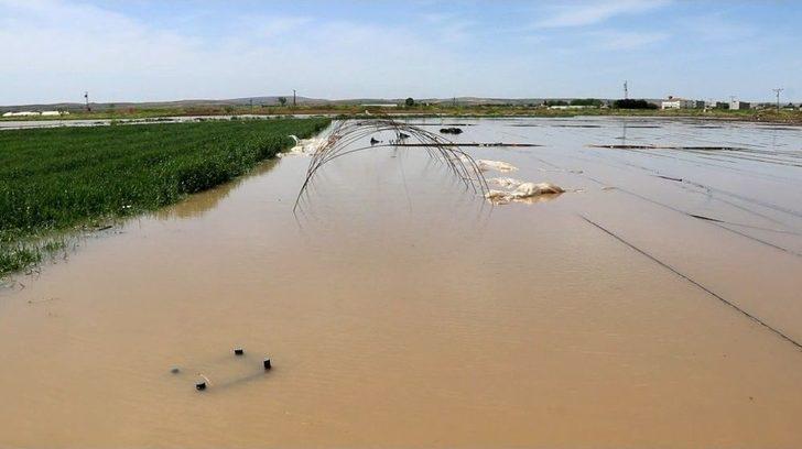 (özel) Seraları Basan Su Yüz Binlerce Liralık Zarara Neden Oldu G5
