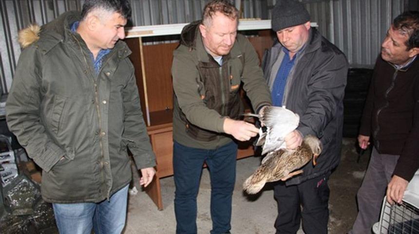 G&uuml;me Avcılığına Ge&ccedil;it Verilmedi