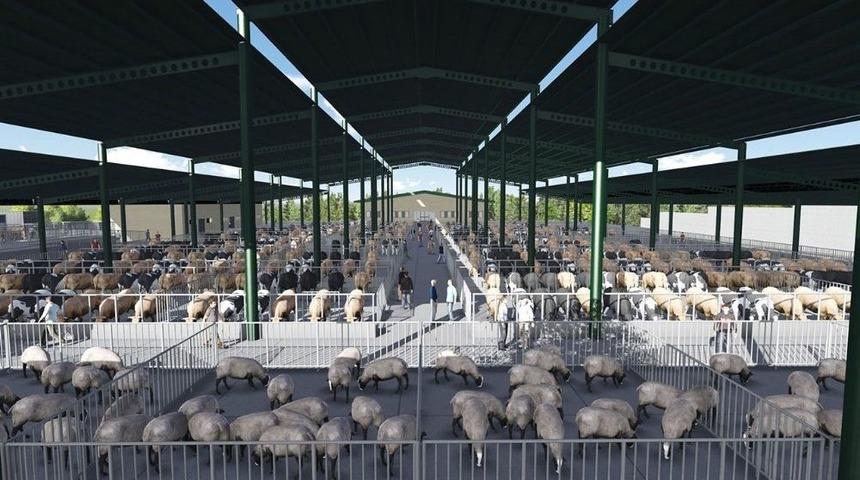 Yeni Hayvan Pazarının İhalesi Yapıldı