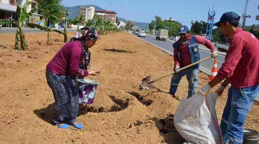 Kadın Başkan Yardımcısı, Şalvar Giyip Fidan Dikti
