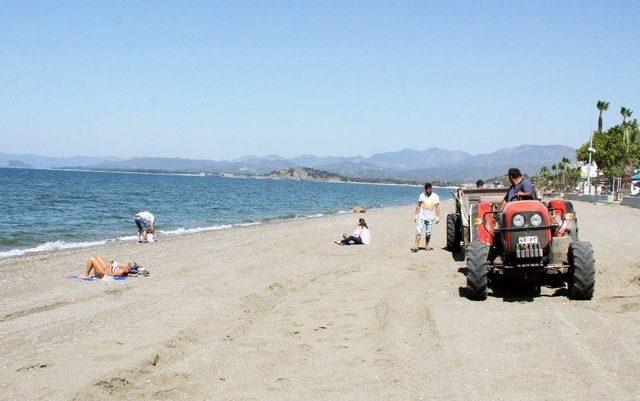 Çalış Plajı Traktörle Temizleniyor