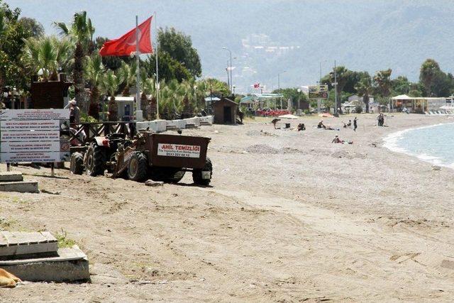 Çalış Plajı Traktörle Temizleniyor