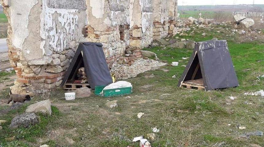 Can Dostların Kul&uuml;beleri De Hazır