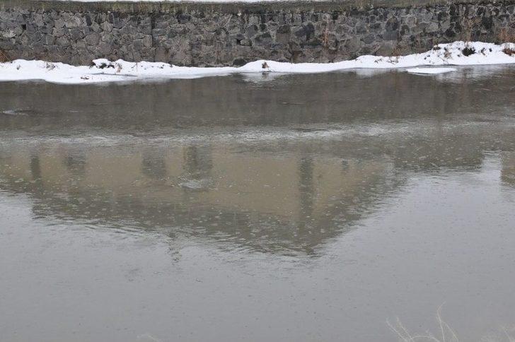 Kars’ta Zemheri Ayında Bahar Yaşanıyor G4