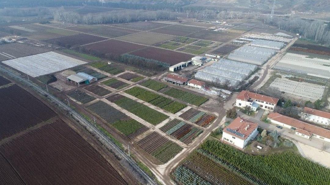 T&uuml;rkiye&rsquo;nin Akciğeri Burası