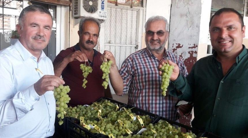 Mersin&rsquo;de &Uuml;z&uuml;m Hasadı