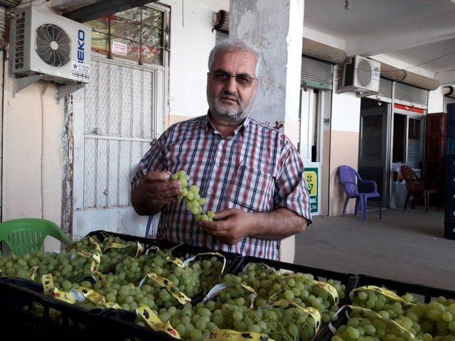 Mersin’de Üzüm Hasadı