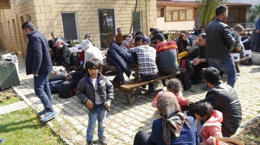 Balık&ccedil;ı Kamyonetinde 51 M&uuml;lteci Yakalandı