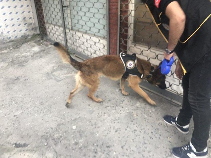 (özel) Okmeydanı’nda Özel Harekat Destekli Narkotik Operasyonu G1