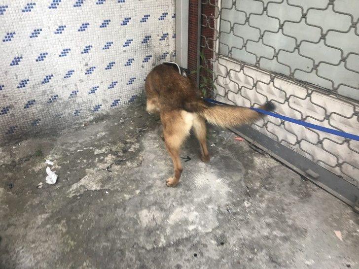 (özel) Okmeydanı’nda Özel Harekat Destekli Narkotik Operasyonu G2