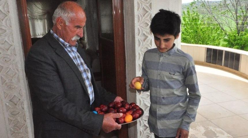 Ezidiler, Kırmızı Çarşamba Bayramı’nı Kutladı