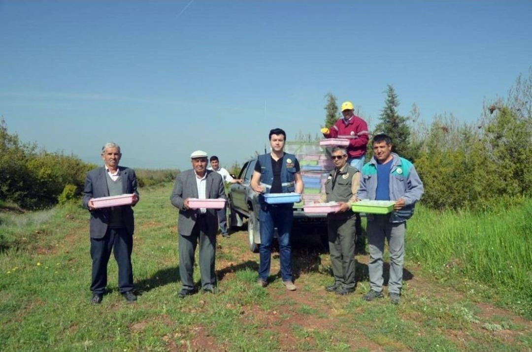Terminat&ouml;r B&ouml;cekler Doğaya Salındı