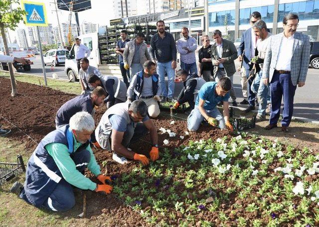 Başkan Atilla Çalışmaları Denetledi