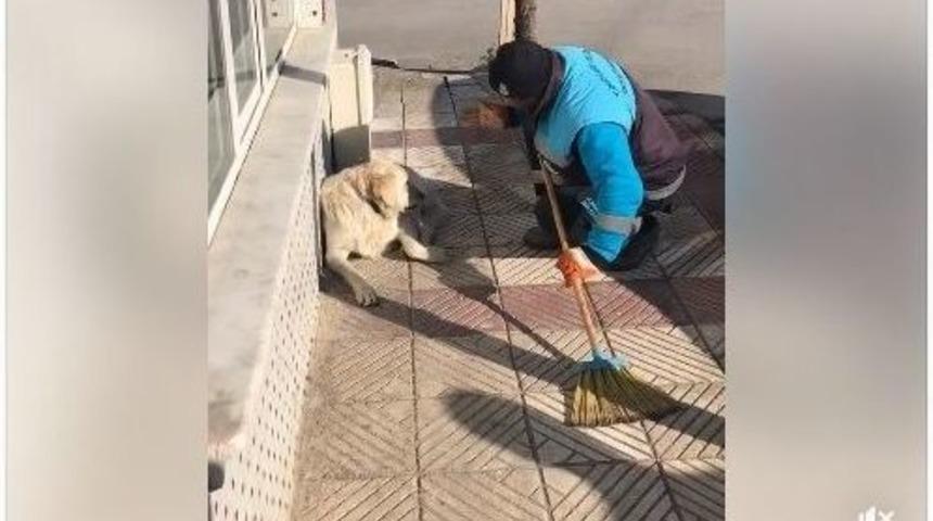 Sokak K&ouml;peğine Arabeskli Serenat