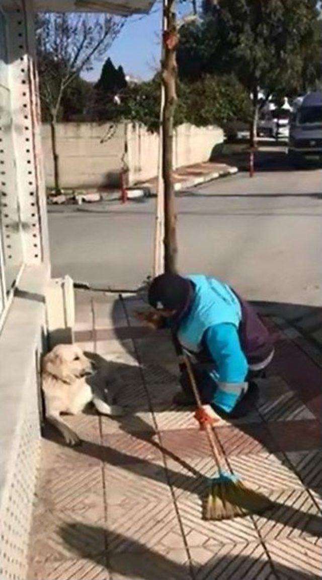 Sokak Köpeğine Arabeskli Serenat