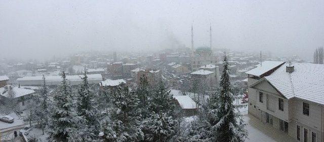 B&uuml;y&uuml;korhan Beyazlara B&uuml;r&uuml;nd&uuml; 1