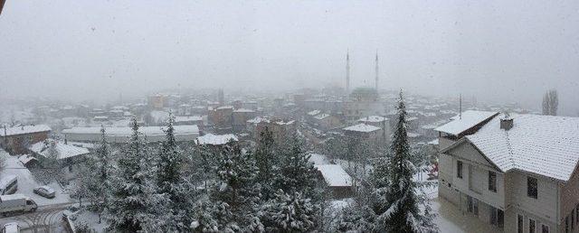 B&uuml;y&uuml;korhan Beyazlara B&uuml;r&uuml;nd&uuml; 2