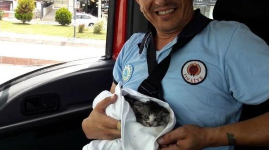Kırmızı Işıkta Motora Giren Kedi Kurtarıldı