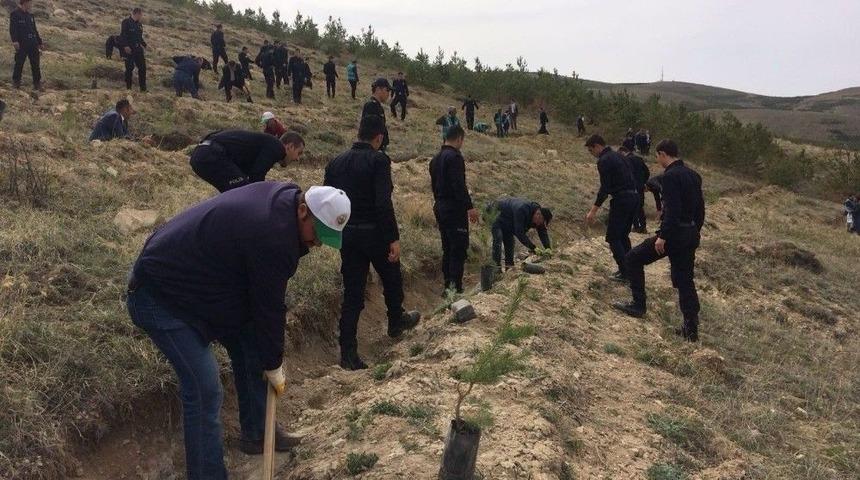 Bayburt&rsquo;ta Şehitler İ&ccedil;in Hatıra Ormanı Oluşturuldu