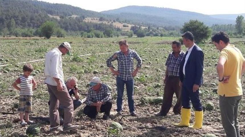 Soğucakpınar K&ouml;y&uuml;nde Hasar Tespit &Ccedil;alışmaları
